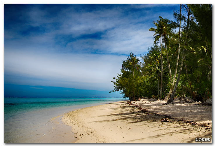 40D12238 cs 2 web.jpg - Moorea - Plage du motu Fareohe